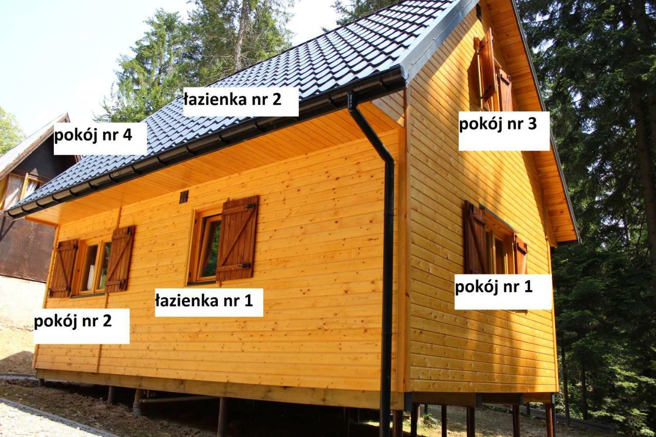 Lesna Willa Pttk W Komanczy Komańcza エクステリア 写真